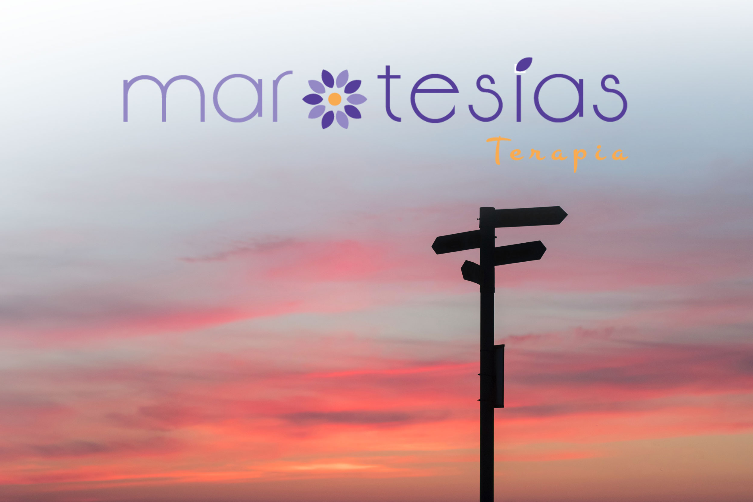 Talleres y Cursos